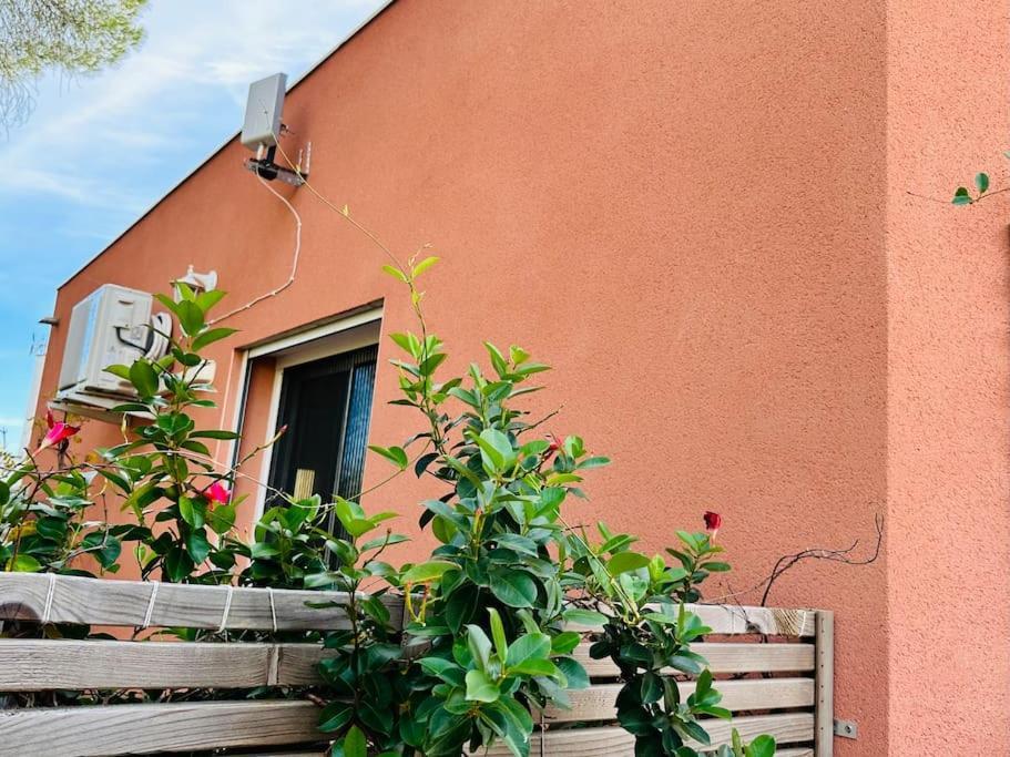 Moderne Mini Maison Lézignan-Corbières Exterior foto